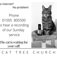Cat Tree Church phone