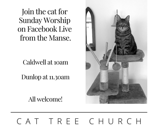 Cat Tree Church